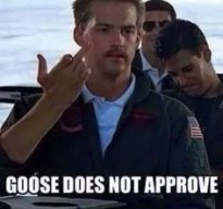 Goose