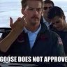 Goose